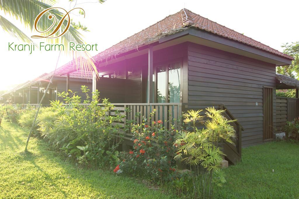 D'Kranji Farm Resort Singapore Rum bild